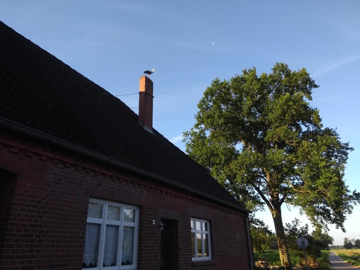 Kroetenhof Barfoerde Barforde Kültér fotó