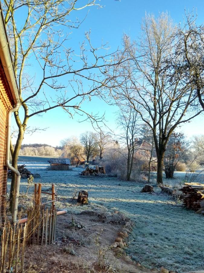 Kroetenhof Barfoerde Barforde Kültér fotó